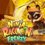 รีวิวเกมสล็อต Ninja Raccoon Frenzy